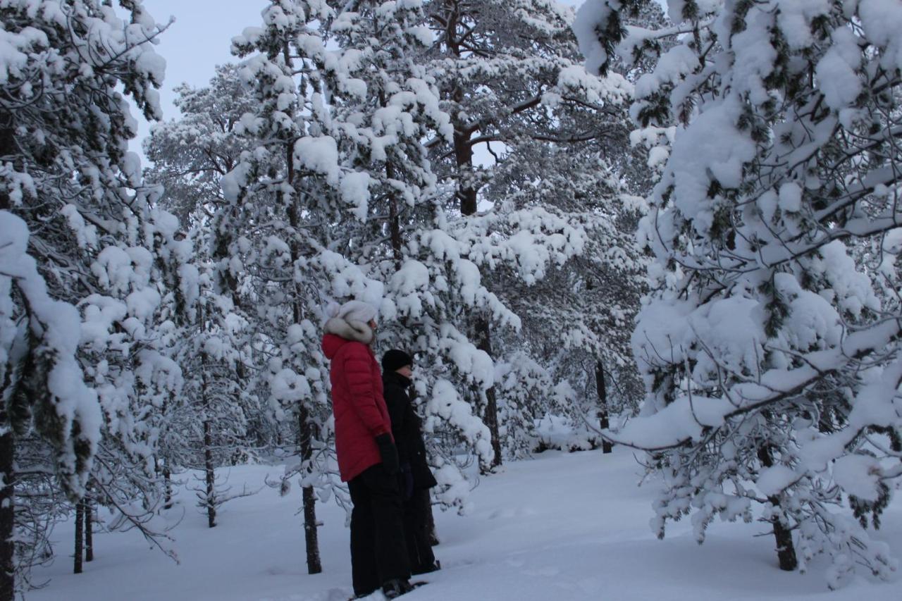 Studio Kaarto Rovaniemi Buitenkant foto